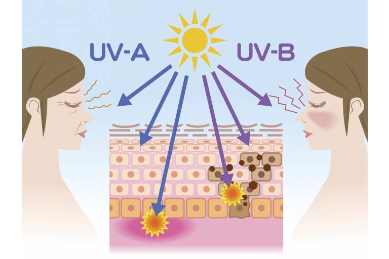 UVA- и UVB-лучи - схемы