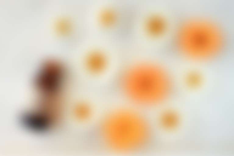 пузырек  темного стекла с ухаживающим составом на белом фоне рядом с разложенными цветками ромашки