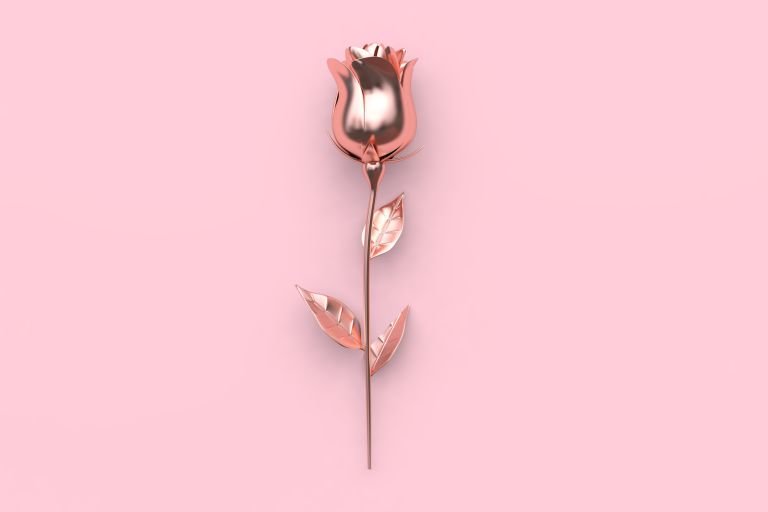 Символ Lancome - роза