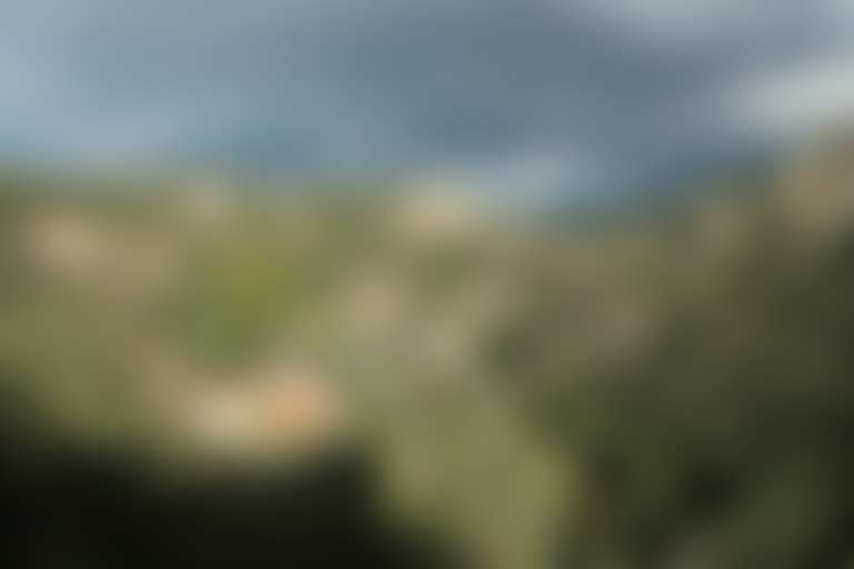 Вид на Пиренеи