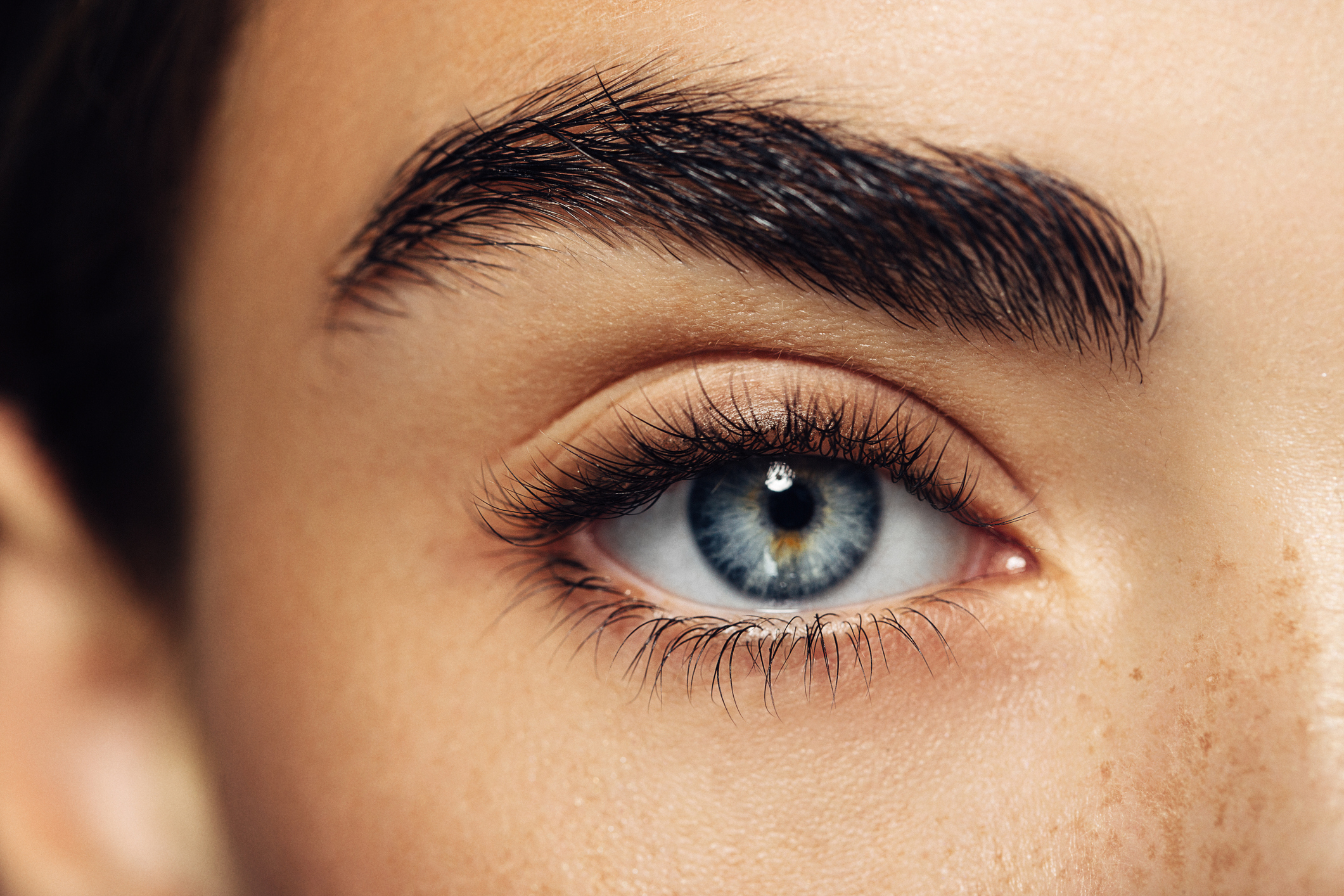 Какое значение для глаз имеют веки ресницы и брови