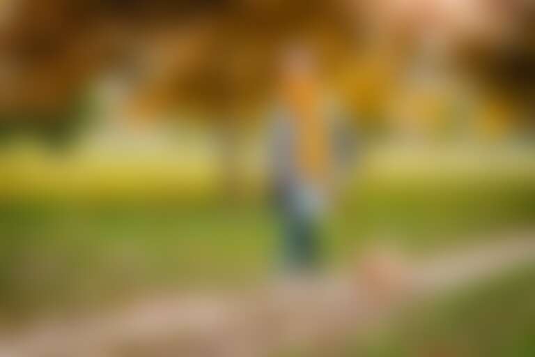 девушка  в желтом шарфе гуляет с собакой в осеннем парке