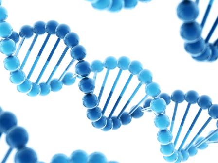 голубая спираль ДНК
